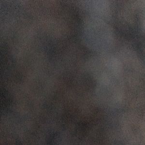 Meet your Posher, Kylie